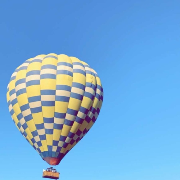 Meet your Posher, Delilah - Picture 1 of 1